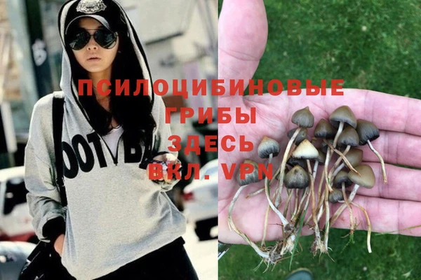 mdpv Абдулино