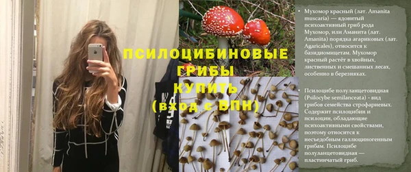 прущая мука Абаза