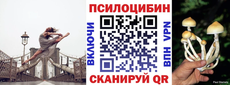 где можно купить наркотик  Сертолово  Галлюциногенные грибы мицелий 