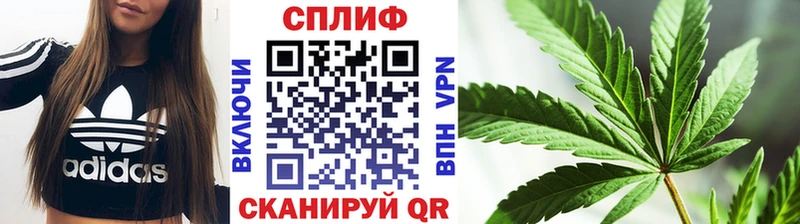 Конопля планчик  Сертолово 